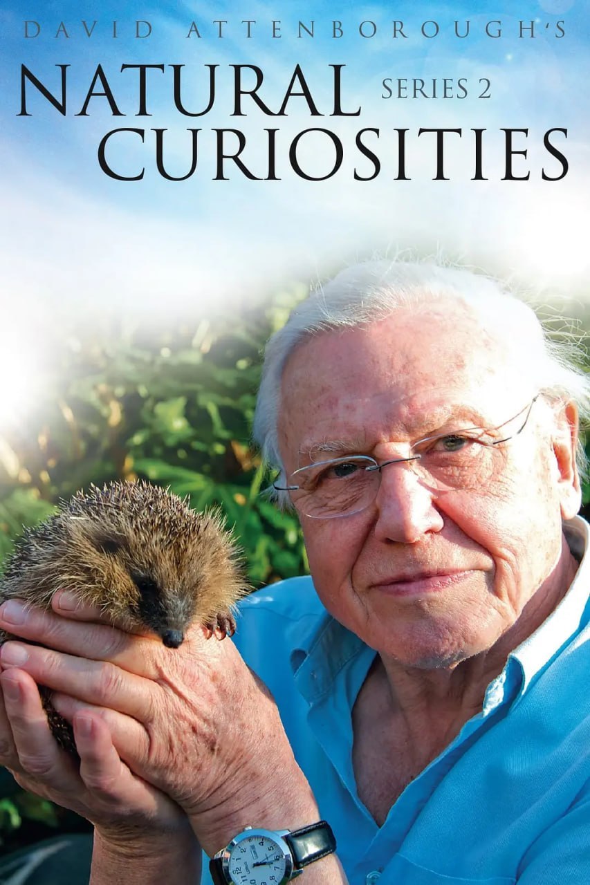自然趣闻 第二季 David Attenborough's Natural Curiosities Season 2 (2014)