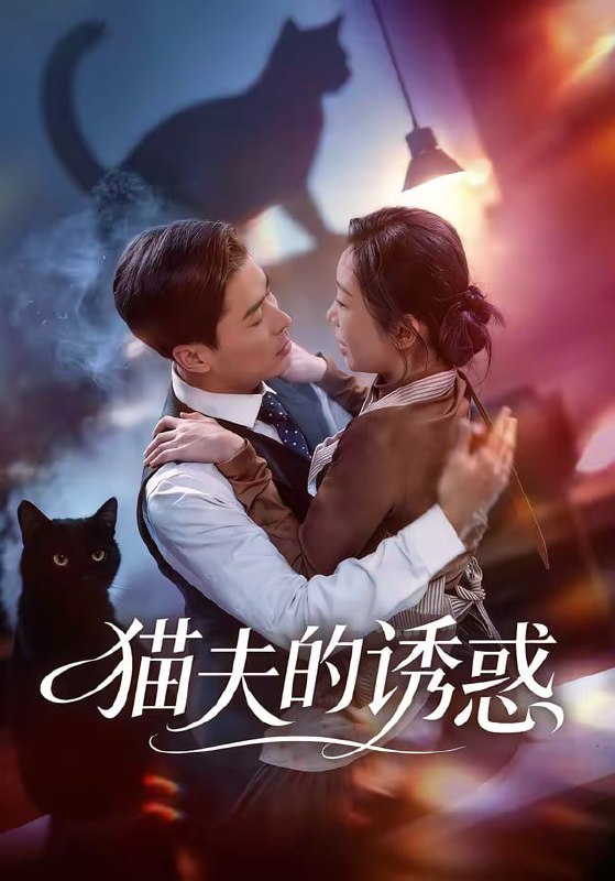 猫夫的诱惑（52集）朱鹏＆陈安琪|短剧