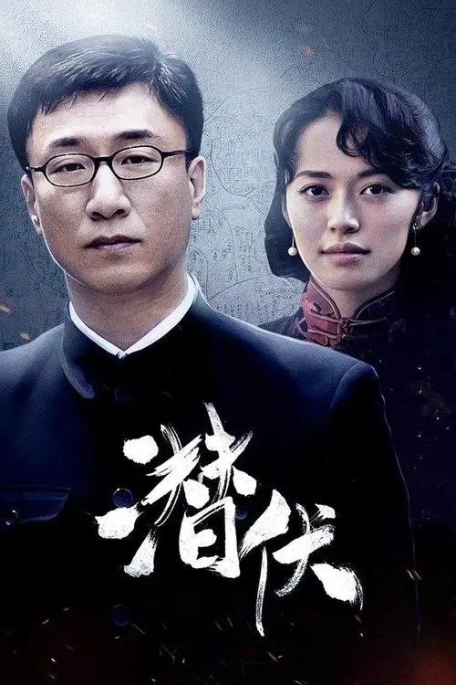 潜伏 (2009) 4K 高码 优酷深度修复 全集